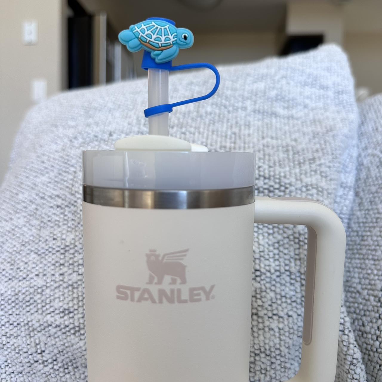 Turtle Straw Cover